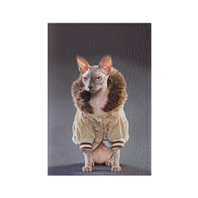 Обложка для паспорта матовая кожа с принтом Сфинкс 4 в Кировске, натуральная матовая кожа | размер 19,3 х 13,7 см; прозрачные пластиковые крепления | кот | котенок | котик | котэ | кошка | сфинкс