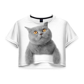 Женская футболка 3D укороченная с принтом Британец 2 в Кировске, 100% полиэстер | круглая горловина, длина футболки до линии талии, рукава с отворотами | Тематика изображения на принте: британец | британская | британцы | кот | котенок | котик | котэ | кошка
