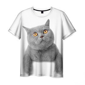 Мужская футболка 3D с принтом Британец 2 в Кировске, 100% полиэфир | прямой крой, круглый вырез горловины, длина до линии бедер | британец | британская | британцы | кот | котенок | котик | котэ | кошка