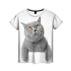 Женская футболка 3D с принтом Британец 2 в Кировске, 100% полиэфир ( синтетическое хлопкоподобное полотно) | прямой крой, круглый вырез горловины, длина до линии бедер | британец | британская | британцы | кот | котенок | котик | котэ | кошка