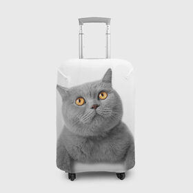 Чехол для чемодана 3D с принтом Британец 2 в Кировске, 86% полиэфир, 14% спандекс | двустороннее нанесение принта, прорези для ручек и колес | Тематика изображения на принте: британец | британская | британцы | кот | котенок | котик | котэ | кошка