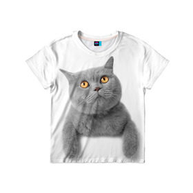 Детская футболка 3D с принтом Британец 2 в Кировске, 100% гипоаллергенный полиэфир | прямой крой, круглый вырез горловины, длина до линии бедер, чуть спущенное плечо, ткань немного тянется | Тематика изображения на принте: британец | британская | британцы | кот | котенок | котик | котэ | кошка