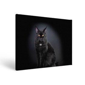 Холст прямоугольный с принтом Мейн-кун 3 в Кировске, 100% ПВХ |  | Тематика изображения на принте: кот | котенок | котик | котэ | кошка | мейн кун | мейнкун | мэйн кун | мэйнкун