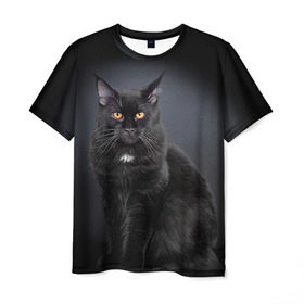 Мужская футболка 3D с принтом Мейн-кун 3 в Кировске, 100% полиэфир | прямой крой, круглый вырез горловины, длина до линии бедер | кот | котенок | котик | котэ | кошка | мейн кун | мейнкун | мэйн кун | мэйнкун