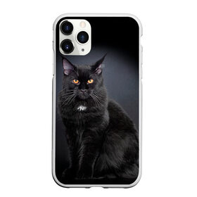 Чехол для iPhone 11 Pro матовый с принтом Мейн-кун 3 в Кировске, Силикон |  | Тематика изображения на принте: кот | котенок | котик | котэ | кошка | мейн кун | мейнкун | мэйн кун | мэйнкун