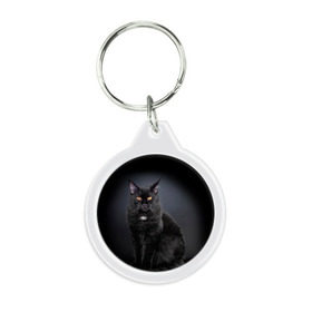 Брелок круглый с принтом Мейн-кун 3 в Кировске, пластик и полированная сталь | круглая форма, металлическое крепление в виде кольца | кот | котенок | котик | котэ | кошка | мейн кун | мейнкун | мэйн кун | мэйнкун