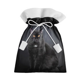 Подарочный 3D мешок с принтом Мейн-кун 3 в Кировске, 100% полиэстер | Размер: 29*39 см | кот | котенок | котик | котэ | кошка | мейн кун | мейнкун | мэйн кун | мэйнкун