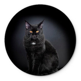 Коврик круглый с принтом Мейн-кун 3 в Кировске, резина и полиэстер | круглая форма, изображение наносится на всю лицевую часть | кот | котенок | котик | котэ | кошка | мейн кун | мейнкун | мэйн кун | мэйнкун