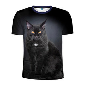 Мужская футболка 3D спортивная с принтом Мейн-кун 3 в Кировске, 100% полиэстер с улучшенными характеристиками | приталенный силуэт, круглая горловина, широкие плечи, сужается к линии бедра | кот | котенок | котик | котэ | кошка | мейн кун | мейнкун | мэйн кун | мэйнкун