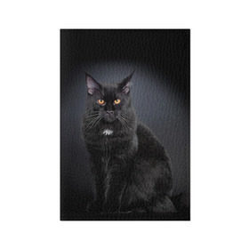 Обложка для паспорта матовая кожа с принтом Мейн-кун 3 в Кировске, натуральная матовая кожа | размер 19,3 х 13,7 см; прозрачные пластиковые крепления | кот | котенок | котик | котэ | кошка | мейн кун | мейнкун | мэйн кун | мэйнкун