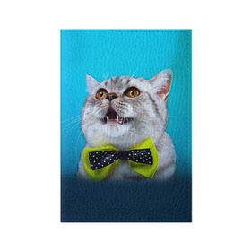 Обложка для паспорта матовая кожа с принтом Британец 3 в Кировске, натуральная матовая кожа | размер 19,3 х 13,7 см; прозрачные пластиковые крепления | британец | британская | британцы | кот | котенок | котик | котэ | кошка