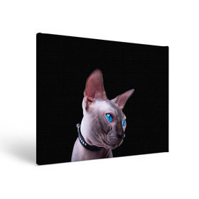 Холст прямоугольный с принтом Сфинкс 6 в Кировске, 100% ПВХ |  | Тематика изображения на принте: кот | котенок | котик | котэ | кошка | сфинкс