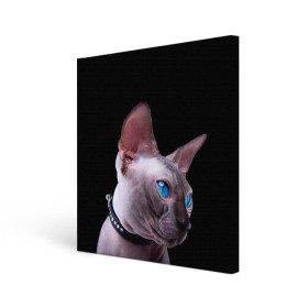 Холст квадратный с принтом Сфинкс 6 в Кировске, 100% ПВХ |  | кот | котенок | котик | котэ | кошка | сфинкс