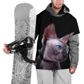 Накидка на куртку 3D с принтом Сфинкс 6 в Кировске, 100% полиэстер |  | кот | котенок | котик | котэ | кошка | сфинкс