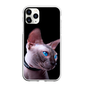 Чехол для iPhone 11 Pro матовый с принтом Сфинкс 6 в Кировске, Силикон |  | Тематика изображения на принте: кот | котенок | котик | котэ | кошка | сфинкс