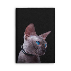 Обложка для автодокументов с принтом Сфинкс 6 в Кировске, натуральная кожа |  размер 19,9*13 см; внутри 4 больших “конверта” для документов и один маленький отдел — туда идеально встанут права | кот | котенок | котик | котэ | кошка | сфинкс