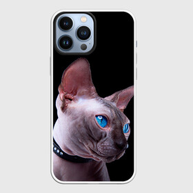 Чехол для iPhone 13 Pro Max с принтом Сфинкс 6 в Кировске,  |  | кот | котенок | котик | котэ | кошка | сфинкс