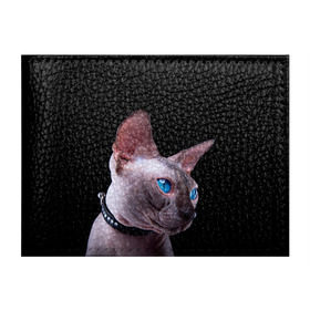 Обложка для студенческого билета с принтом Сфинкс 6 в Кировске, натуральная кожа | Размер: 11*8 см; Печать на всей внешней стороне | кот | котенок | котик | котэ | кошка | сфинкс