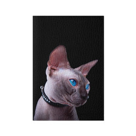 Обложка для паспорта матовая кожа с принтом Сфинкс 6 в Кировске, натуральная матовая кожа | размер 19,3 х 13,7 см; прозрачные пластиковые крепления | кот | котенок | котик | котэ | кошка | сфинкс