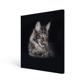 Холст квадратный с принтом Мейн-кун 5 в Кировске, 100% ПВХ |  | Тематика изображения на принте: кот | котенок | котик | котэ | кошка | мейн кун | мейнкун | мэйн кун | мэйнкун