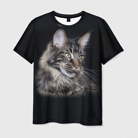 Мужская футболка 3D с принтом Мейн-кун 5 в Кировске, 100% полиэфир | прямой крой, круглый вырез горловины, длина до линии бедер | кот | котенок | котик | котэ | кошка | мейн кун | мейнкун | мэйн кун | мэйнкун