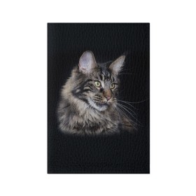 Обложка для паспорта матовая кожа с принтом Мейн-кун 5 в Кировске, натуральная матовая кожа | размер 19,3 х 13,7 см; прозрачные пластиковые крепления | кот | котенок | котик | котэ | кошка | мейн кун | мейнкун | мэйн кун | мэйнкун