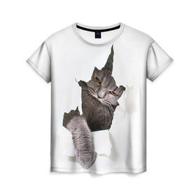 Женская футболка 3D с принтом Британец 4 в Кировске, 100% полиэфир ( синтетическое хлопкоподобное полотно) | прямой крой, круглый вырез горловины, длина до линии бедер | британец | британская | британцы | кот | котенок | котик | котэ | кошка