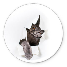 Коврик круглый с принтом Британец 4 в Кировске, резина и полиэстер | круглая форма, изображение наносится на всю лицевую часть | Тематика изображения на принте: британец | британская | британцы | кот | котенок | котик | котэ | кошка