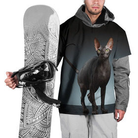 Накидка на куртку 3D с принтом Сфинкс 7 в Кировске, 100% полиэстер |  | Тематика изображения на принте: кот | котенок | котик | котэ | кошка | сфинкс