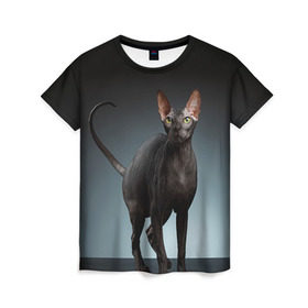 Женская футболка 3D с принтом Сфинкс 7 в Кировске, 100% полиэфир ( синтетическое хлопкоподобное полотно) | прямой крой, круглый вырез горловины, длина до линии бедер | кот | котенок | котик | котэ | кошка | сфинкс