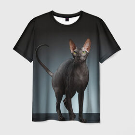 Мужская футболка 3D с принтом Сфинкс 7 в Кировске, 100% полиэфир | прямой крой, круглый вырез горловины, длина до линии бедер | кот | котенок | котик | котэ | кошка | сфинкс
