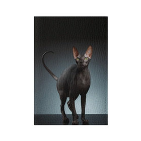 Обложка для паспорта матовая кожа с принтом Сфинкс 7 в Кировске, натуральная матовая кожа | размер 19,3 х 13,7 см; прозрачные пластиковые крепления | кот | котенок | котик | котэ | кошка | сфинкс