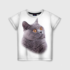 Детская футболка 3D с принтом Британец 5 в Кировске, 100% гипоаллергенный полиэфир | прямой крой, круглый вырез горловины, длина до линии бедер, чуть спущенное плечо, ткань немного тянется | британец | британская | британцы | кот | котенок | котик | котэ | кошка