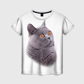Женская футболка 3D с принтом Британец 5 в Кировске, 100% полиэфир ( синтетическое хлопкоподобное полотно) | прямой крой, круглый вырез горловины, длина до линии бедер | британец | британская | британцы | кот | котенок | котик | котэ | кошка