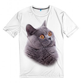 Мужская футболка 3D с принтом Британец 5 в Кировске, 100% полиэфир | прямой крой, круглый вырез горловины, длина до линии бедер | британец | британская | британцы | кот | котенок | котик | котэ | кошка
