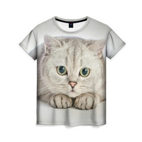 Женская футболка 3D с принтом Британец 6 в Кировске, 100% полиэфир ( синтетическое хлопкоподобное полотно) | прямой крой, круглый вырез горловины, длина до линии бедер | британец | британская | британцы | кот | котенок | котик | котэ | кошка