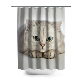 Штора 3D для ванной с принтом Британец 6 в Кировске, 100% полиэстер | плотность материала — 100 г/м2. Стандартный размер — 146 см х 180 см. По верхнему краю — пластиковые люверсы для креплений. В комплекте 10 пластиковых колец | Тематика изображения на принте: британец | британская | британцы | кот | котенок | котик | котэ | кошка