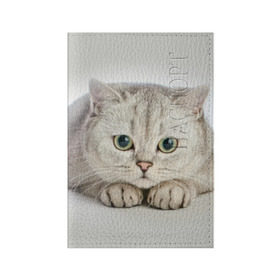 Обложка для паспорта матовая кожа с принтом Британец 6 в Кировске, натуральная матовая кожа | размер 19,3 х 13,7 см; прозрачные пластиковые крепления | Тематика изображения на принте: британец | британская | британцы | кот | котенок | котик | котэ | кошка