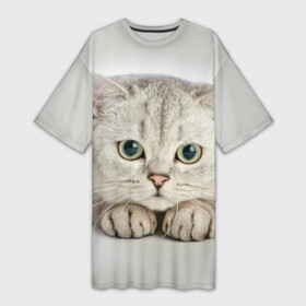 Платье-футболка 3D с принтом Британец кот лежит сосредоточен в Кировске,  |  | британец | британская | британцы | кот | котенок | котик | котэ | кошка