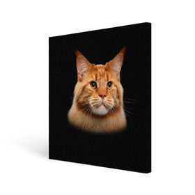 Холст квадратный с принтом Мейн-кун 6 в Кировске, 100% ПВХ |  | кот | котенок | котик | котэ | кошка | мейн кун | мейнкун | мэйн кун | мэйнкун