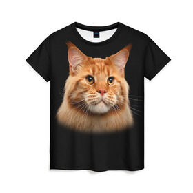 Женская футболка 3D с принтом Мейн-кун 6 в Кировске, 100% полиэфир ( синтетическое хлопкоподобное полотно) | прямой крой, круглый вырез горловины, длина до линии бедер | кот | котенок | котик | котэ | кошка | мейн кун | мейнкун | мэйн кун | мэйнкун