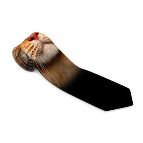 Галстук 3D с принтом Мейн-кун 6 в Кировске, 100% полиэстер | Длина 148 см; Плотность 150-180 г/м2 | Тематика изображения на принте: кот | котенок | котик | котэ | кошка | мейн кун | мейнкун | мэйн кун | мэйнкун
