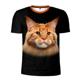 Мужская футболка 3D спортивная с принтом Мейн-кун 6 в Кировске, 100% полиэстер с улучшенными характеристиками | приталенный силуэт, круглая горловина, широкие плечи, сужается к линии бедра | кот | котенок | котик | котэ | кошка | мейн кун | мейнкун | мэйн кун | мэйнкун