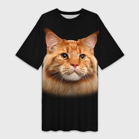 Платье-футболка 3D с принтом Мейн кун 6 в Кировске,  |  | кот | котенок | котик | котэ | кошка | мейн кун | мейнкун | мэйн кун | мэйнкун