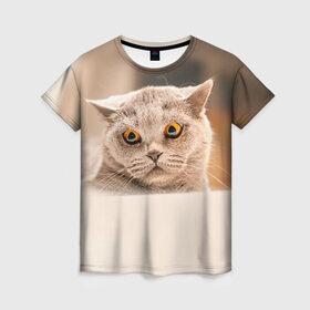 Женская футболка 3D с принтом Британец 7 в Кировске, 100% полиэфир ( синтетическое хлопкоподобное полотно) | прямой крой, круглый вырез горловины, длина до линии бедер | британец | британская | британцы | кот | котенок | котик | котэ | кошка