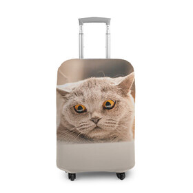 Чехол для чемодана 3D с принтом Британец 7 в Кировске, 86% полиэфир, 14% спандекс | двустороннее нанесение принта, прорези для ручек и колес | Тематика изображения на принте: британец | британская | британцы | кот | котенок | котик | котэ | кошка