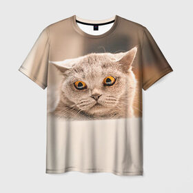 Мужская футболка 3D с принтом Британец 7 в Кировске, 100% полиэфир | прямой крой, круглый вырез горловины, длина до линии бедер | британец | британская | британцы | кот | котенок | котик | котэ | кошка
