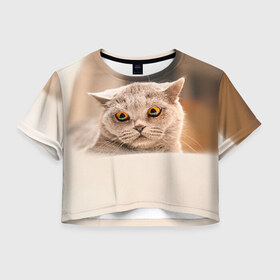 Женская футболка 3D укороченная с принтом Британец 7 в Кировске, 100% полиэстер | круглая горловина, длина футболки до линии талии, рукава с отворотами | Тематика изображения на принте: британец | британская | британцы | кот | котенок | котик | котэ | кошка