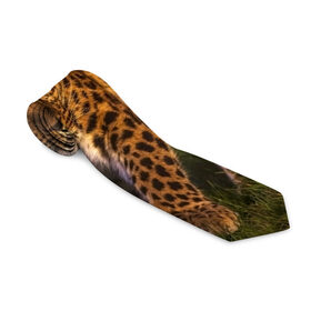 Галстук 3D с принтом Дальневосточный леопард в Кировске, 100% полиэстер | Длина 148 см; Плотность 150-180 г/м2 | Тематика изображения на принте: дикая кошка | леопард | природа | хищник