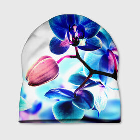 Шапка 3D с принтом Орхидея в Кировске, 100% полиэстер | универсальный размер, печать по всей поверхности изделия | Тематика изображения на принте: лютики | синий | цветы